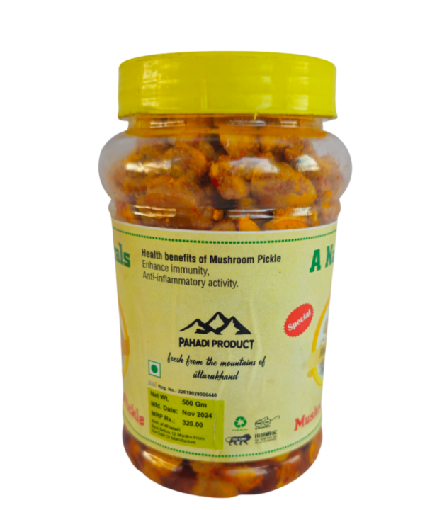 Mushrooms Pickle - Image 2