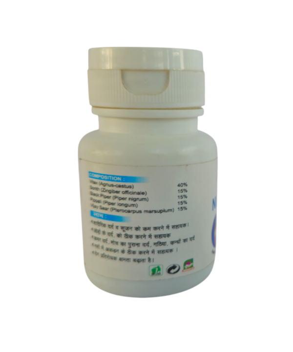 Nirgundi Capsule - Image 2
