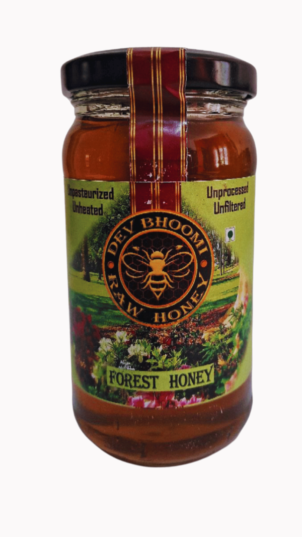 Honey (Forest)